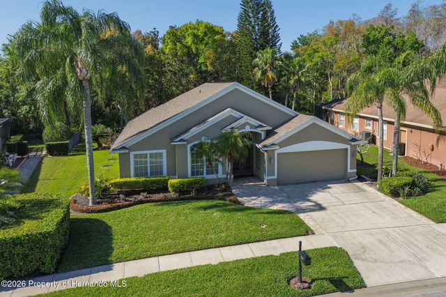 21314 Marsh Hawk Drive, Land O'lakes, FL 34638