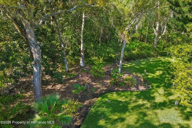 21314 Marsh Hawk Drive, Land O'lakes, FL 34638
