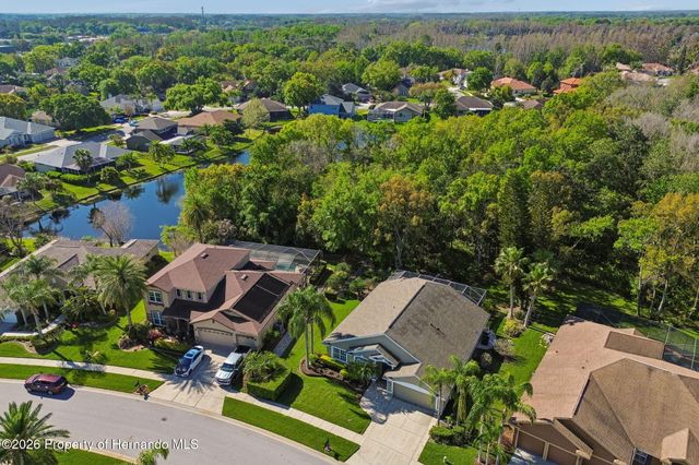 21314 Marsh Hawk Drive, Land O'lakes, FL 34638