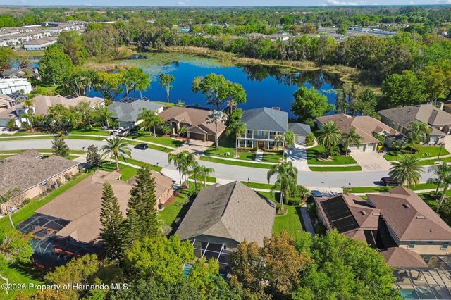 21314 Marsh Hawk Drive, Land O'lakes, FL 34638