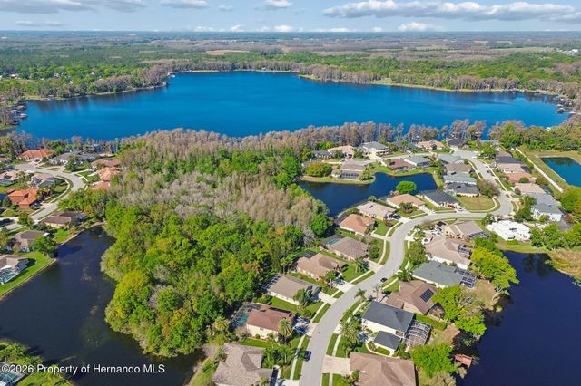 21314 Marsh Hawk Drive, Land O'lakes, FL 34638