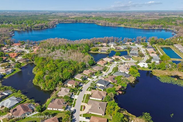 21314 Marsh Hawk Drive, Land O'lakes, FL 34638