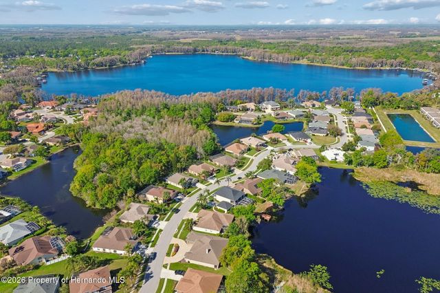 21314 Marsh Hawk Drive, Land O'lakes, FL 34638