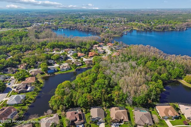 21314 Marsh Hawk Drive, Land O'lakes, FL 34638
