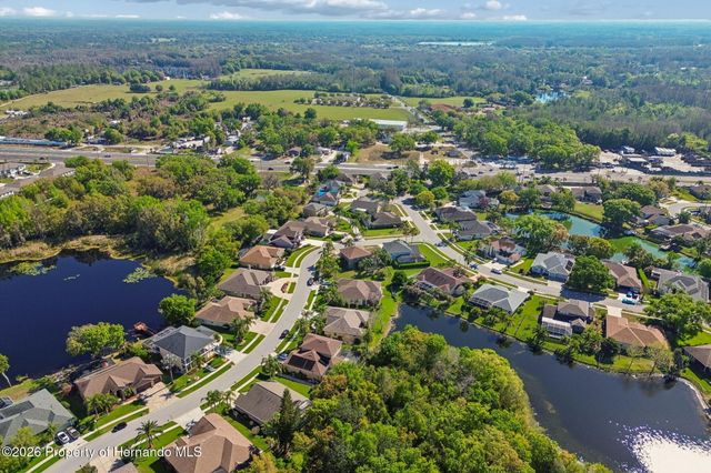 21314 Marsh Hawk Drive, Land O'lakes, FL 34638