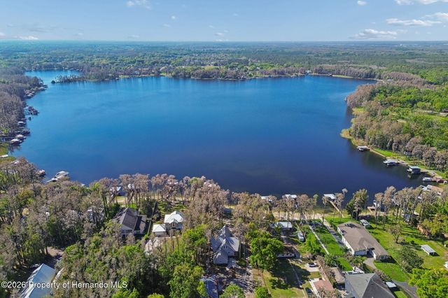 21314 Marsh Hawk Drive, Land O'lakes, FL 34638