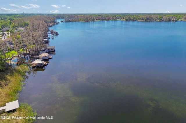 21314 Marsh Hawk Drive, Land O'lakes, FL 34638
