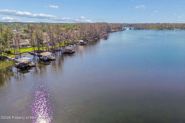 21314 Marsh Hawk Drive, Land O'lakes, FL 34638
