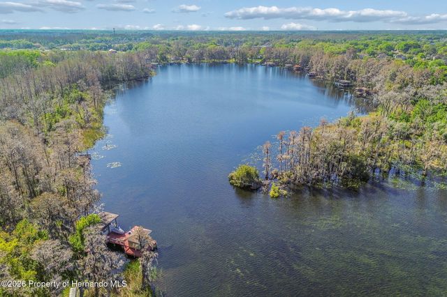 21314 Marsh Hawk Drive, Land O'lakes, FL 34638
