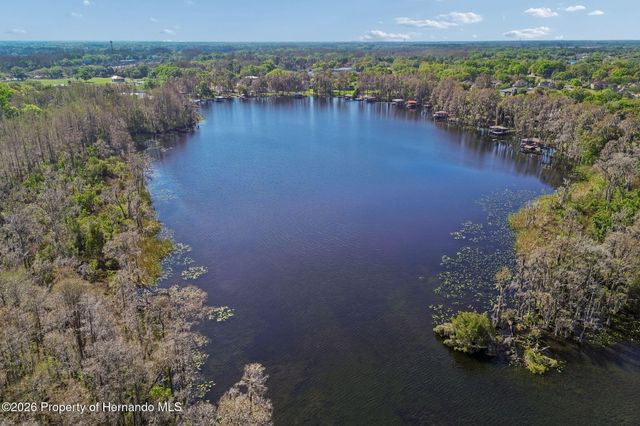 21314 Marsh Hawk Drive, Land O'lakes, FL 34638