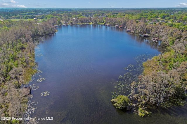 21314 Marsh Hawk Drive, Land O'lakes, FL 34638