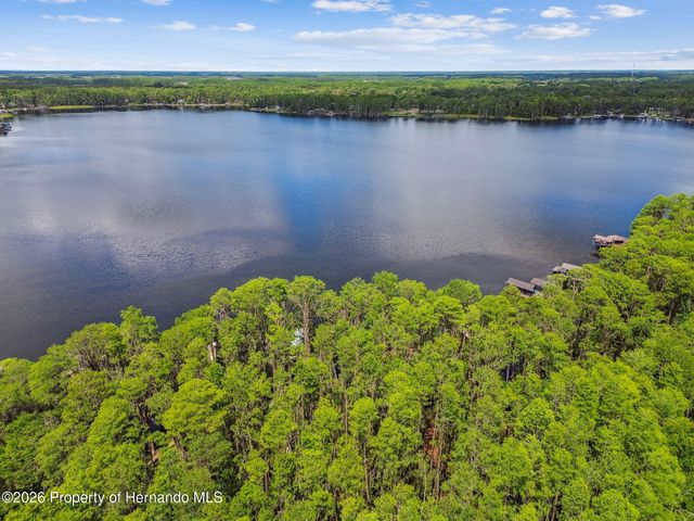 21314 Marsh Hawk Drive, Land O'lakes, FL 34638