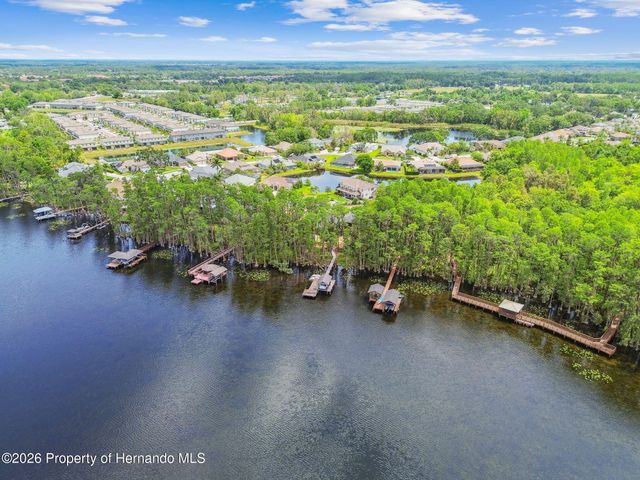 21314 Marsh Hawk Drive, Land O'lakes, FL 34638