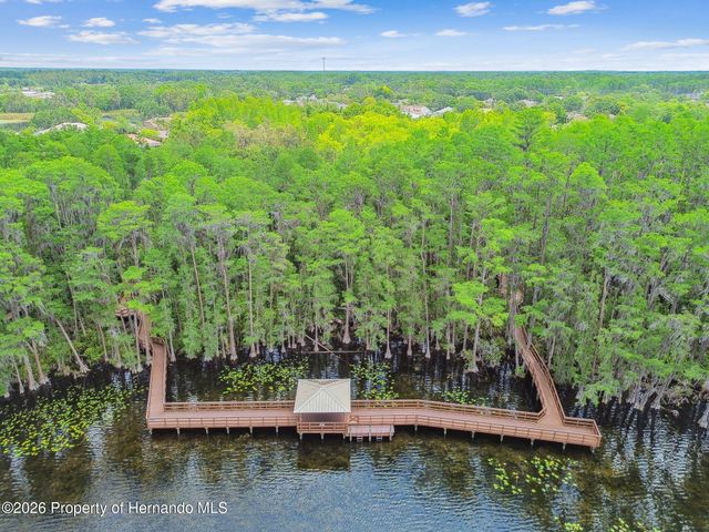21314 Marsh Hawk Drive, Land O'lakes, FL 34638