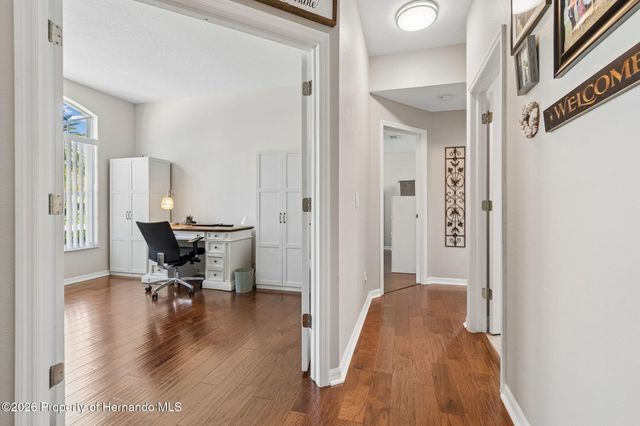 21314 Marsh Hawk Drive, Land O'lakes, FL 34638