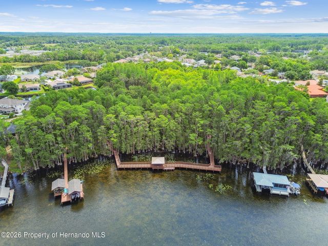 21314 Marsh Hawk Drive, Land O'lakes, FL 34638