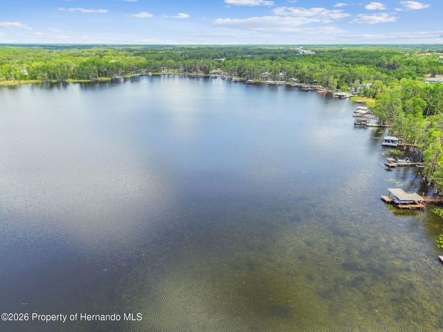 21314 Marsh Hawk Drive, Land O'lakes, FL 34638