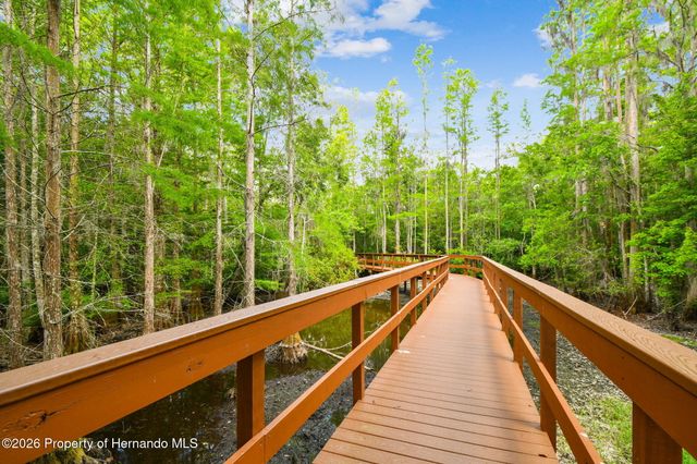 21314 Marsh Hawk Drive, Land O'lakes, FL 34638
