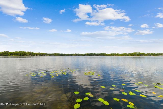 21314 Marsh Hawk Drive, Land O'lakes, FL 34638