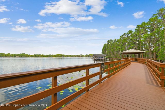 21314 Marsh Hawk Drive, Land O'lakes, FL 34638