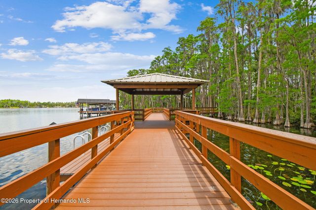 21314 Marsh Hawk Drive, Land O'lakes, FL 34638