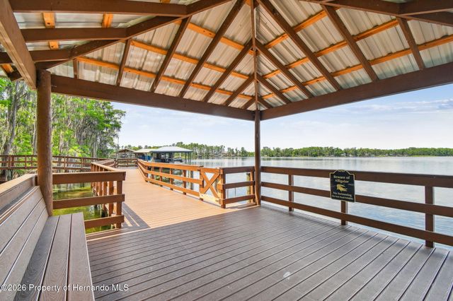21314 Marsh Hawk Drive, Land O'lakes, FL 34638