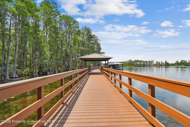 21314 Marsh Hawk Drive, Land O'lakes, FL 34638