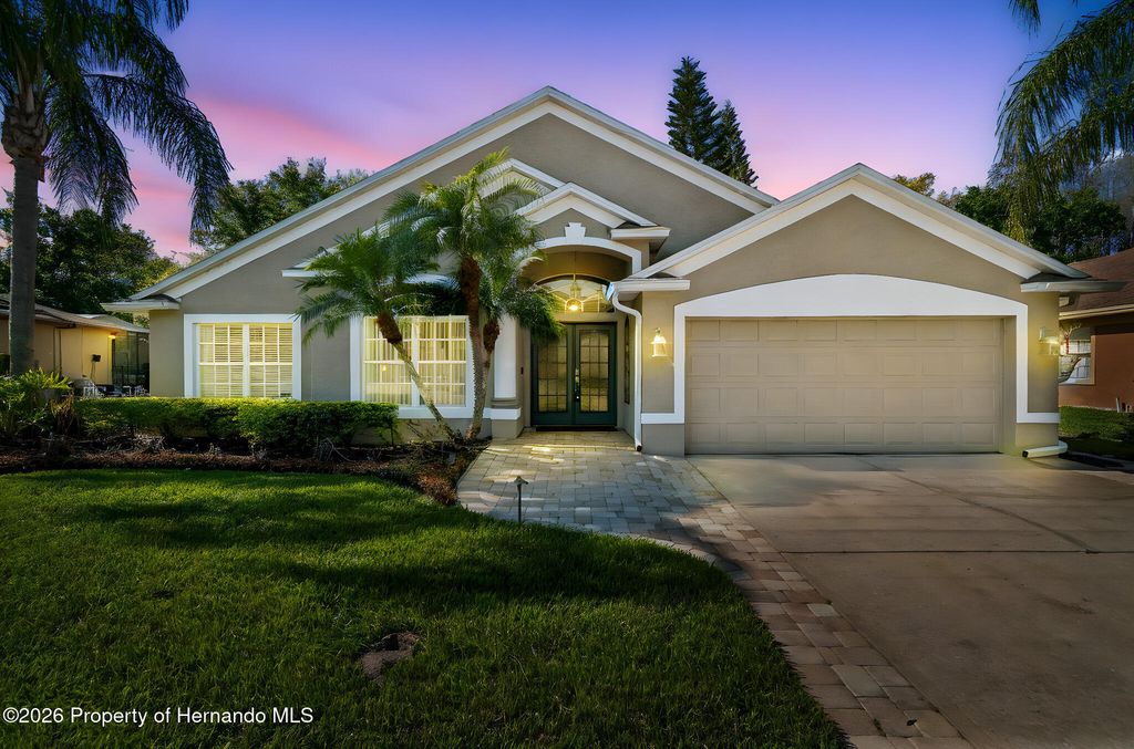 21314 Marsh Hawk Drive, Land O'lakes, FL 34638