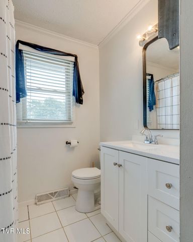 207 Cherry Street, Mount Carmel, TN 37645