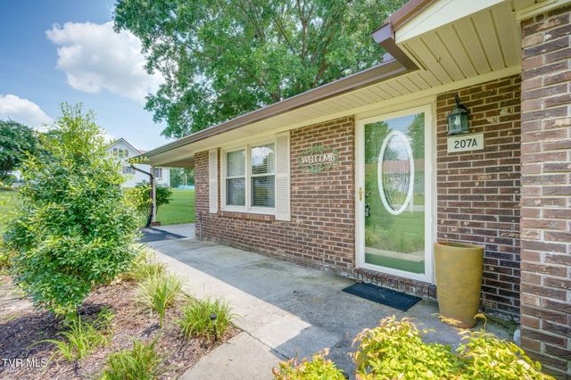 207 Cherry Street, Mount Carmel, TN 37645