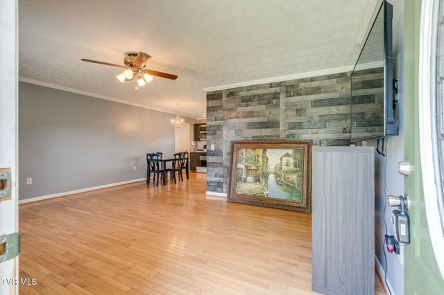 207 Cherry Street, Mount Carmel, TN 37645