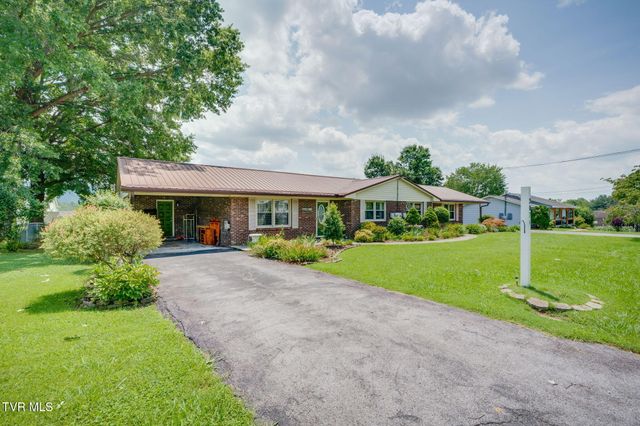 207 Cherry Street, Mount Carmel, TN 37645