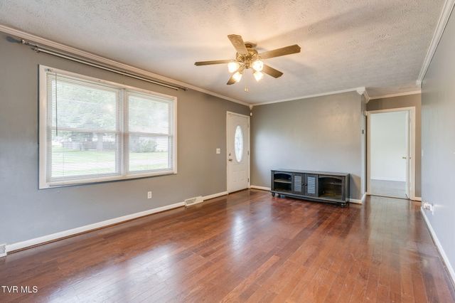 207 Cherry Street, Mount Carmel, TN 37645