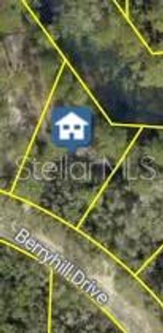 BERRYHILL DRIVE, Webster, FL 33597