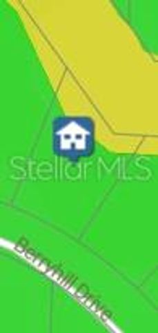 BERRYHILL DRIVE, Webster, FL 33597