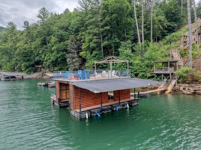 514 Browns Cove Road, Blue Ridge, GA 30513