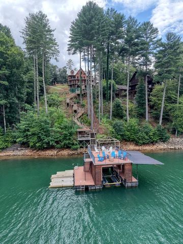 514 Browns Cove Road, Blue Ridge, GA 30513