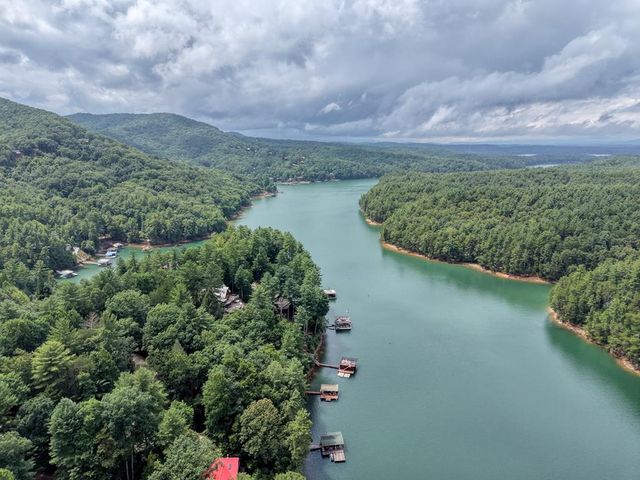 514 Browns Cove Road, Blue Ridge, GA 30513