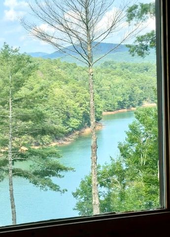 514 Browns Cove Road, Blue Ridge, GA 30513