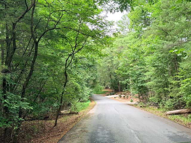 514 Browns Cove Road, Blue Ridge, GA 30513