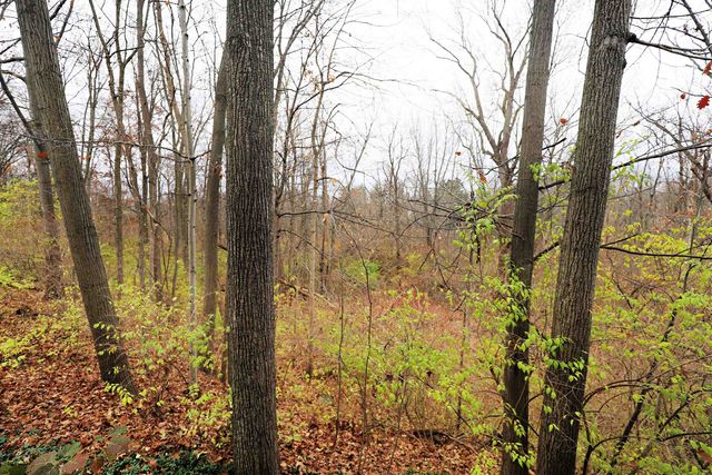 1506 Golfside Court, Flushing, MI 48433