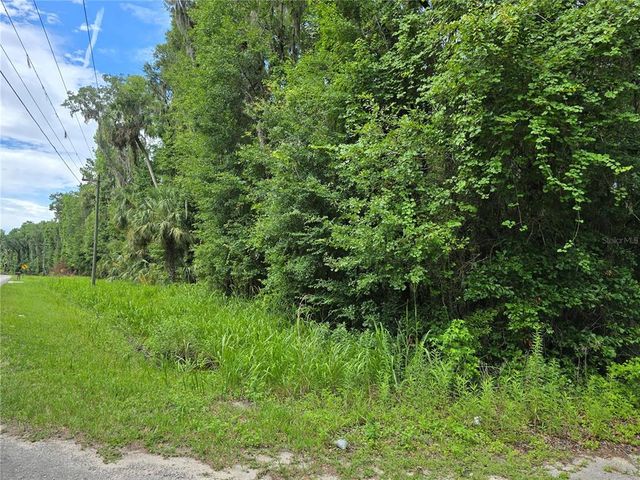 N HWY 329, Micanopy, FL 32667