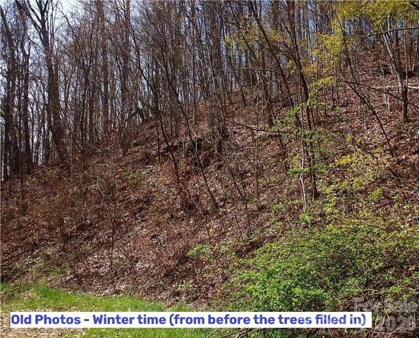 1000 Yonah Trail 7, Waynesville, NC 28785
