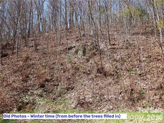 1000 Yonah Trail 7, Waynesville, NC 28785