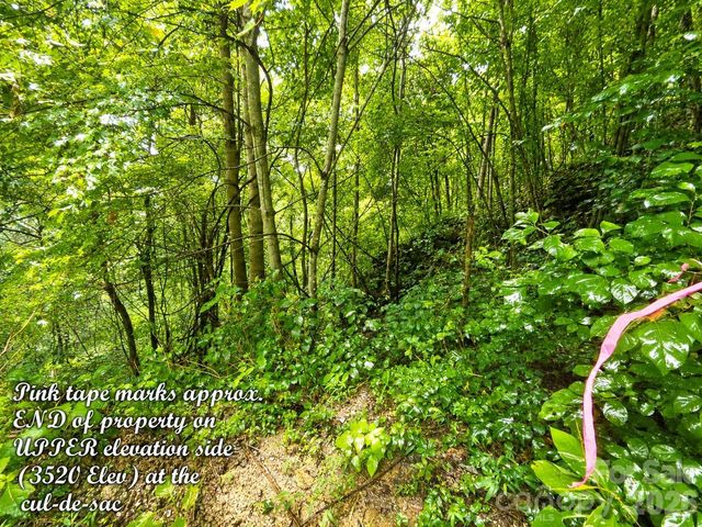 1000 Yonah Trail 7, Waynesville, NC 28785