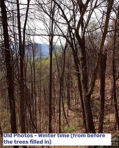 1000 Yonah Trail 7, Waynesville, NC 28785