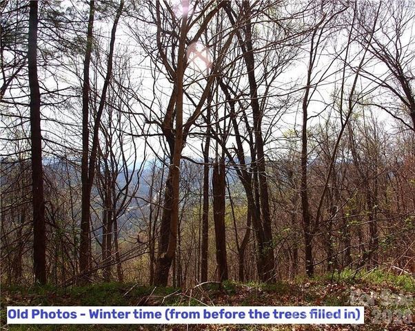 1000 Yonah Trail 7, Waynesville, NC 28785