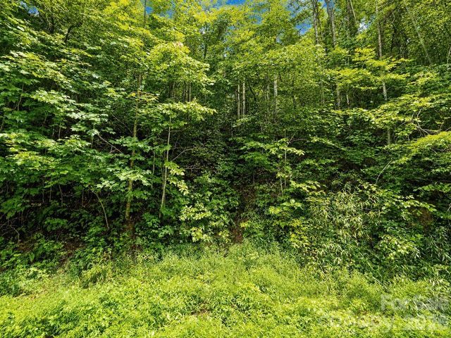 1000 Yonah Trail 7, Waynesville, NC 28785