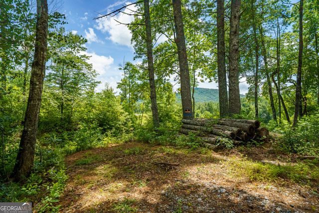 0 Higdon Creek Road, Blue Ridge, GA 30513