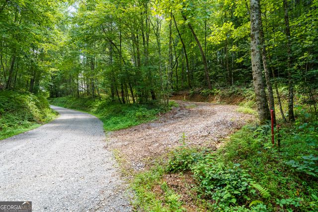 0 Higdon Creek Road, Blue Ridge, GA 30513